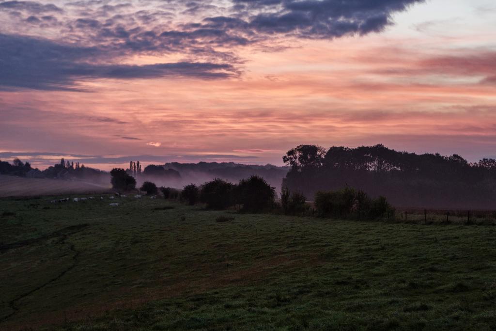 Vakantieboerderij Ferme Le Bleuet Ohey ภายนอก รูปภาพ